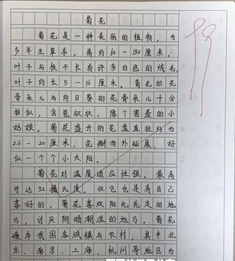 《清明时节忆故人——菊花映衬下的祭奠》