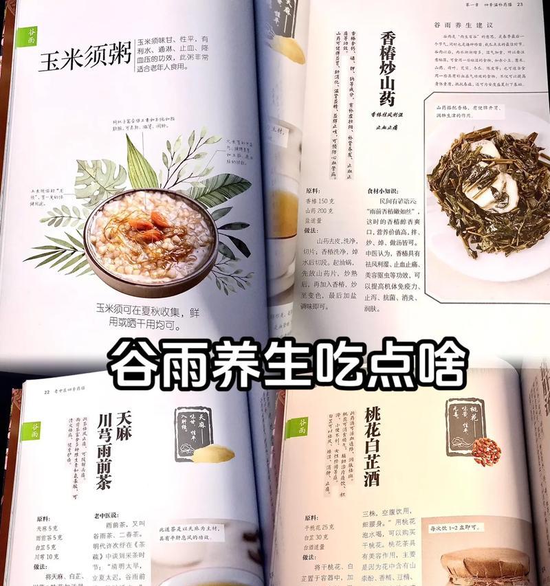 谷雨如何养生作文