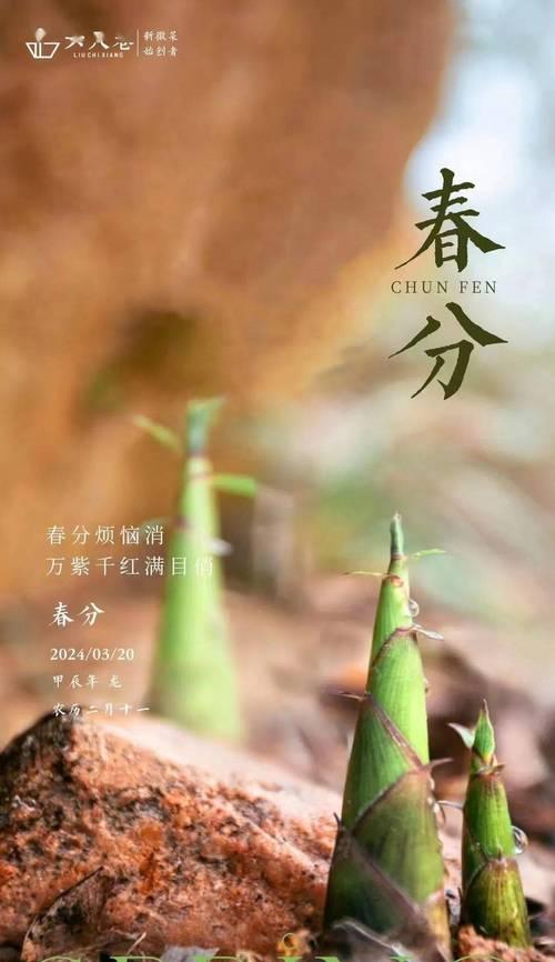 《春分细雨润物细无声》