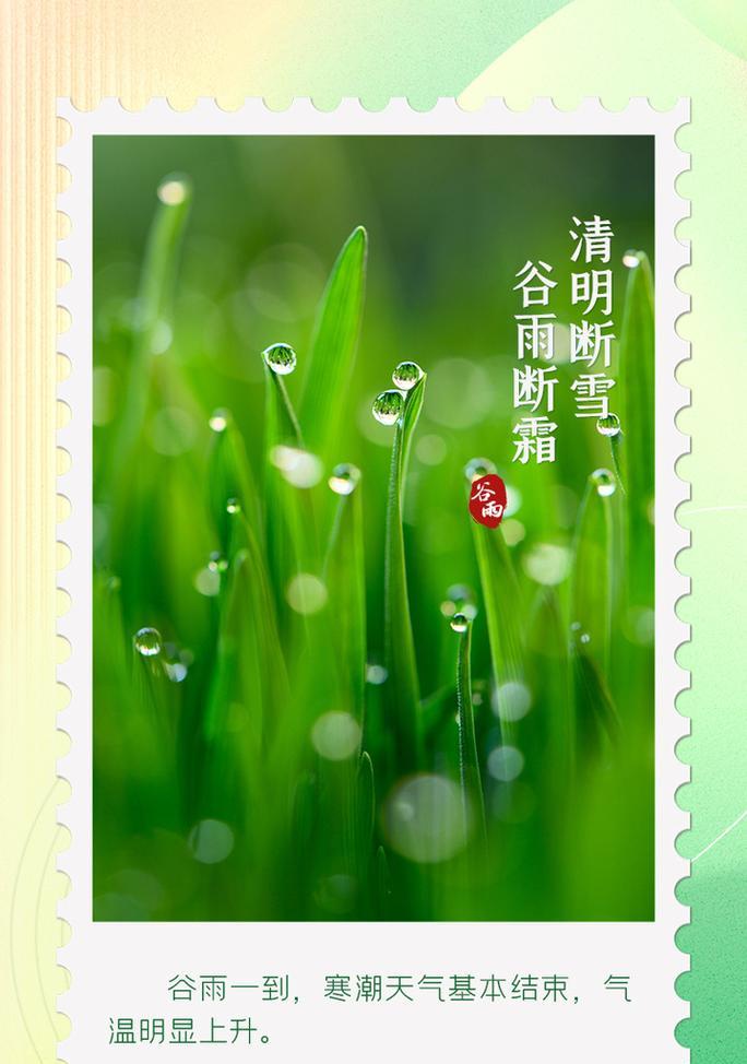 谷雨时节润物细无声，春意盎然话绮丽