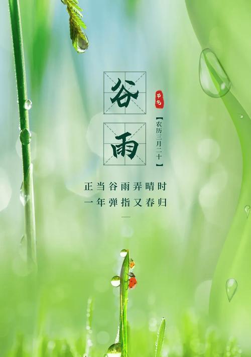 《谷雨时分，乡愁悠悠》