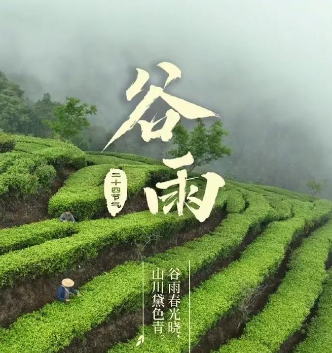 《谷雨润心田，茶香满墨池》