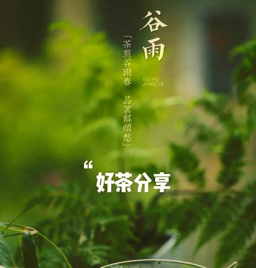 《谷雨润心田，茶香满墨池》
