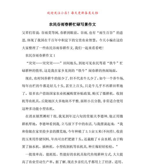 烈日下的友谊种子