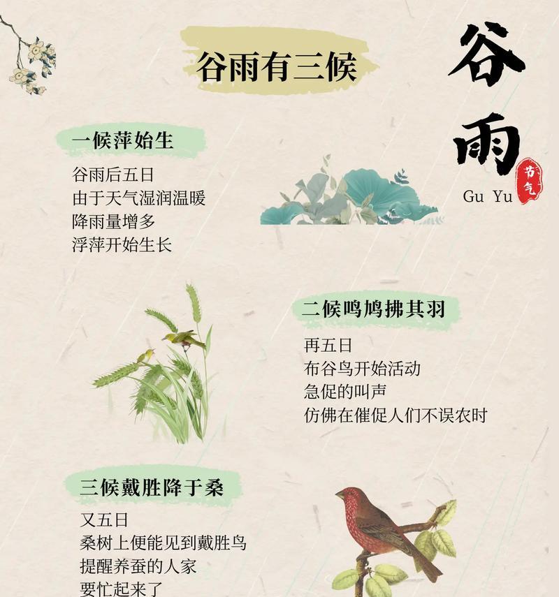 谷雨时节的校园记忆