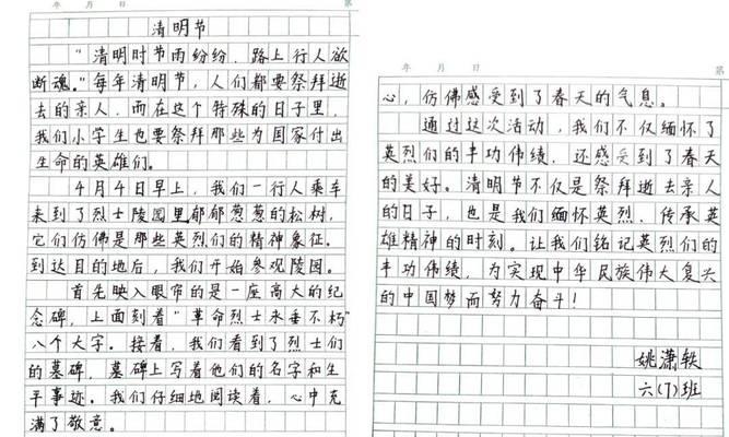 春雨中的缅怀：清明节的故事