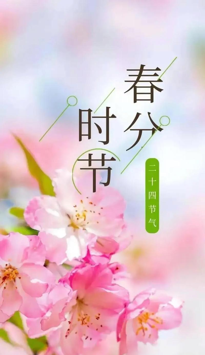 《春分物语：东风解冻，百花争艳》