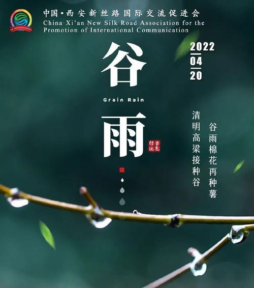《清明谷雨：细雨润心田》