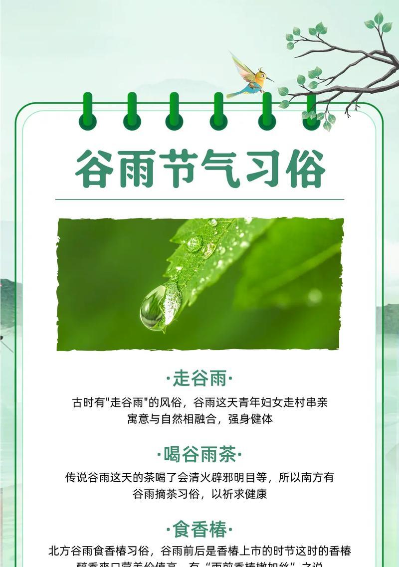 《清明谷雨：细雨润心田》