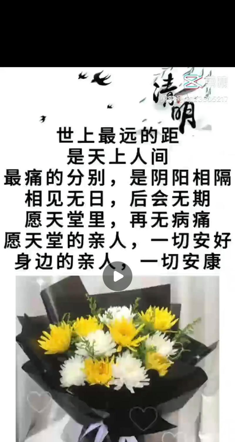 《清明寄哀思：疫情下的追忆之旅》