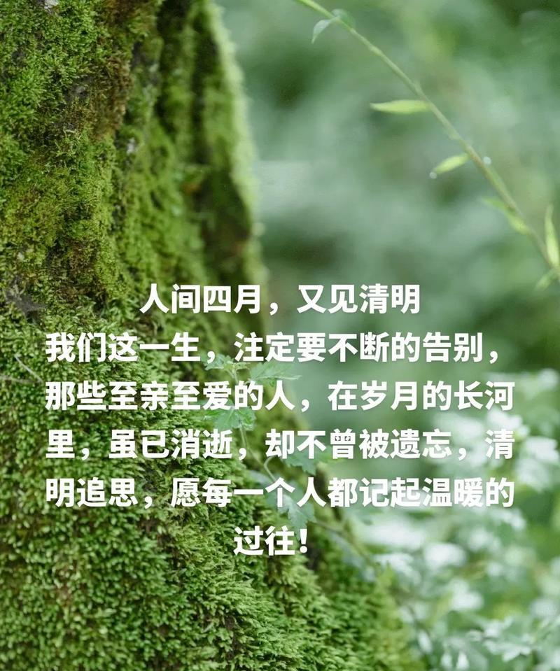 《清烟散尽古风留——清明时节之静美颂》