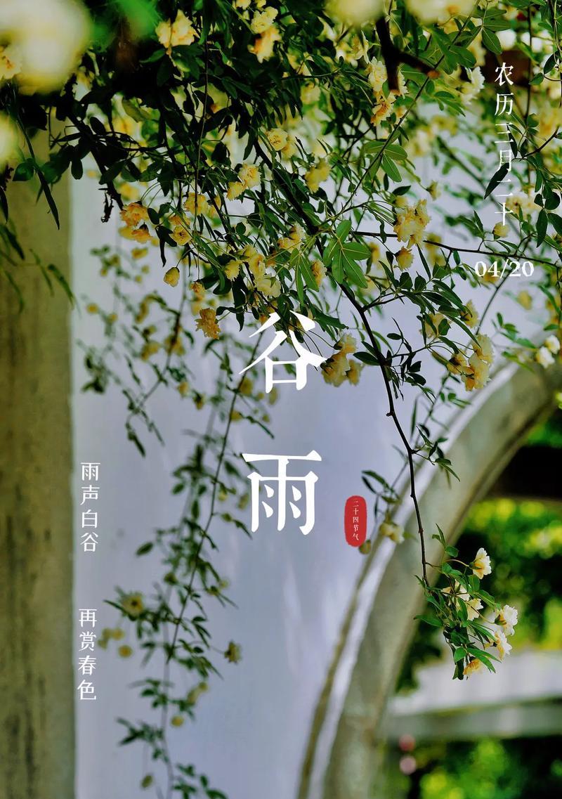 《谷雨时节，与辉同辉》