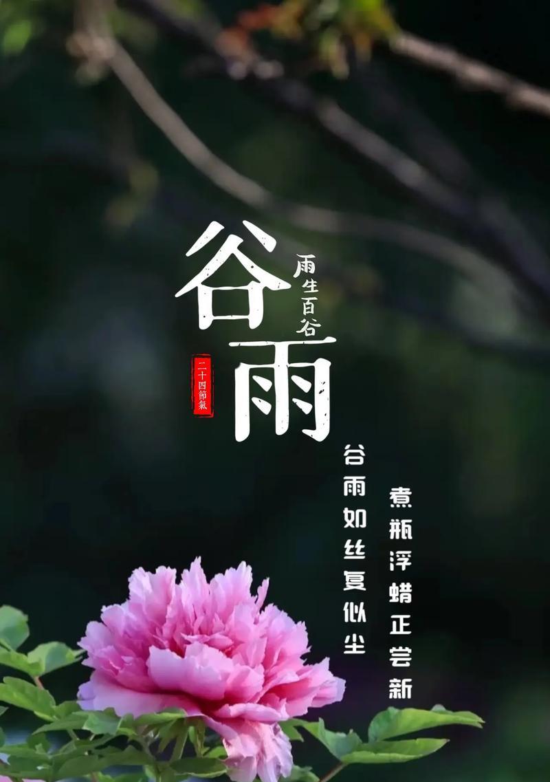 《谷雨之时，润物无声》