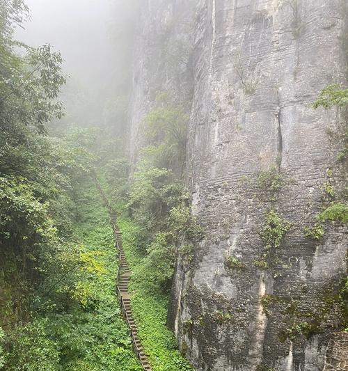 《雨中峡谷之韵》