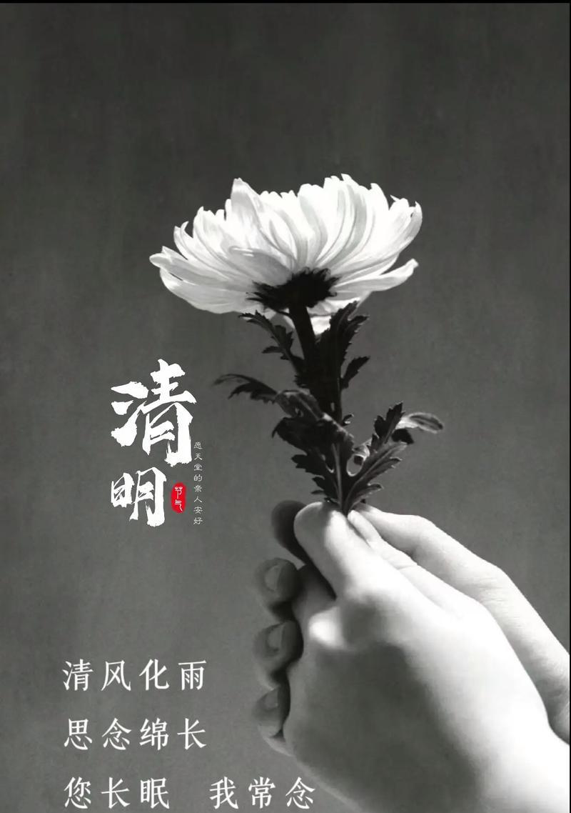 《清明细雨中，追思与感恩之舞》