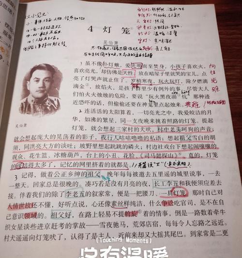 以仿写灯笼清明节作文为话题的作文怎么写（《春夜赏灯忆先人》）