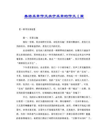 清明节采茶习俗作文怎么写？（《春光里的茶语》）
