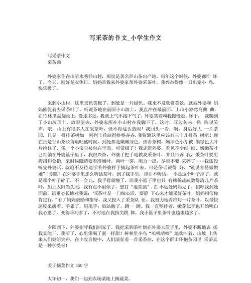 清明节采茶习俗作文怎么写？（《春光里的茶语》）