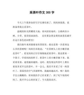 清明节采茶习俗作文怎么写？（《春光里的茶语》）