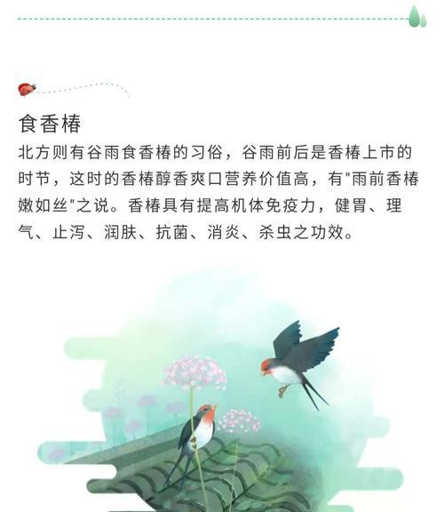 有关谷雨节气的作文350字的作文怎么写（《谷雨时节，青春的种子》）