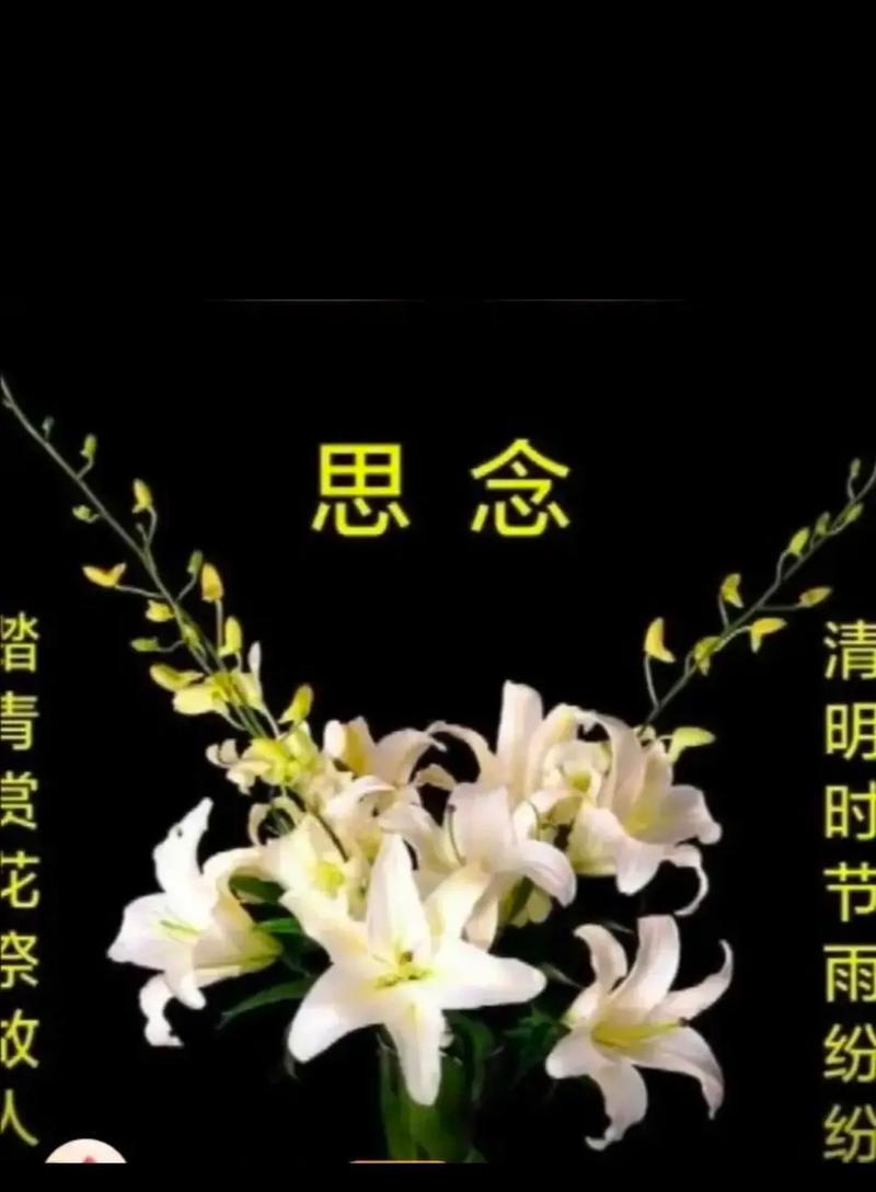 清明寄情句子好句有哪些？（《清明寄思——古风幽幽话时节》）