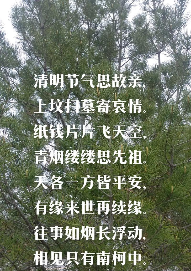 清明节如何用短句表达深情？（《清明情深寄语——一缕轻烟抚古韵》）