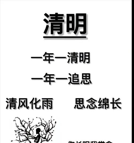 清明节的一天怎么写（《清明细雨润芳菲》）