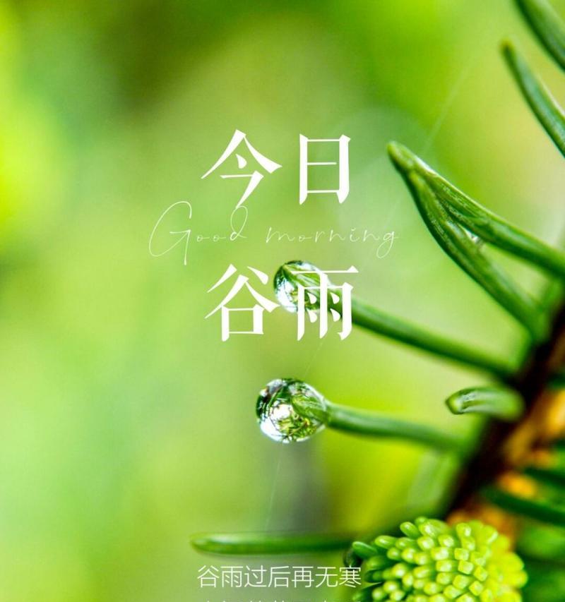 谷雨耕种诗句（《谷雨耕心：润物细无声的诗意人生》）