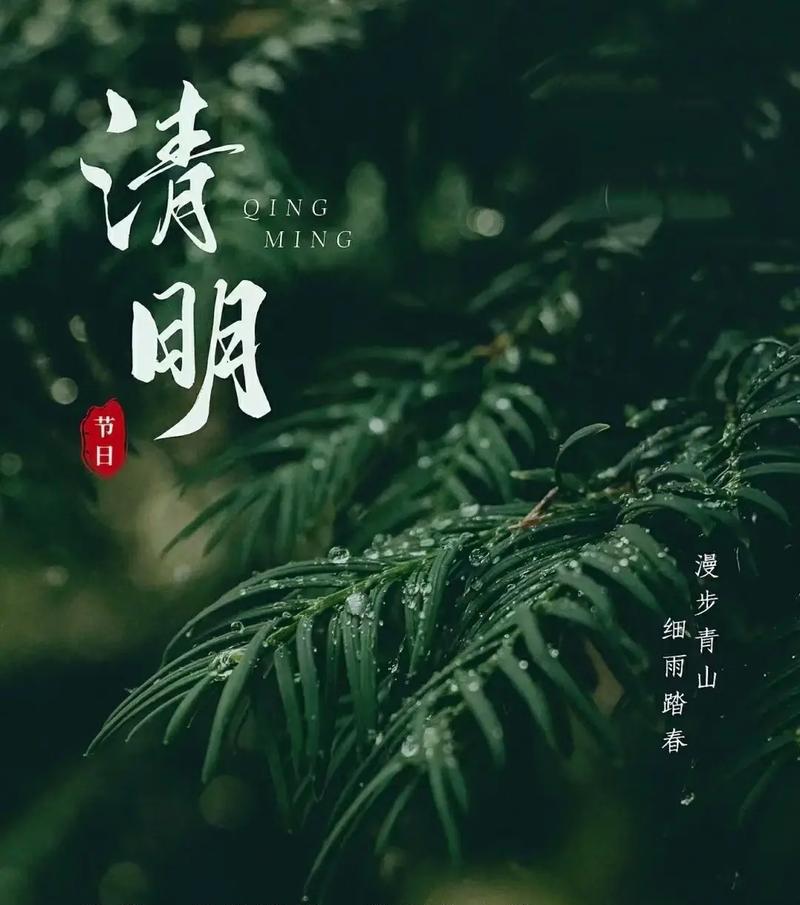 有关清明雨上句子的短句怎么写（《雨上清明，故人思》）