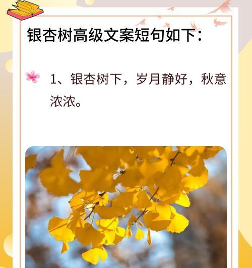 描写银杏树的晴天和雨天（《谷雨润银杏，古木诉幽情》）