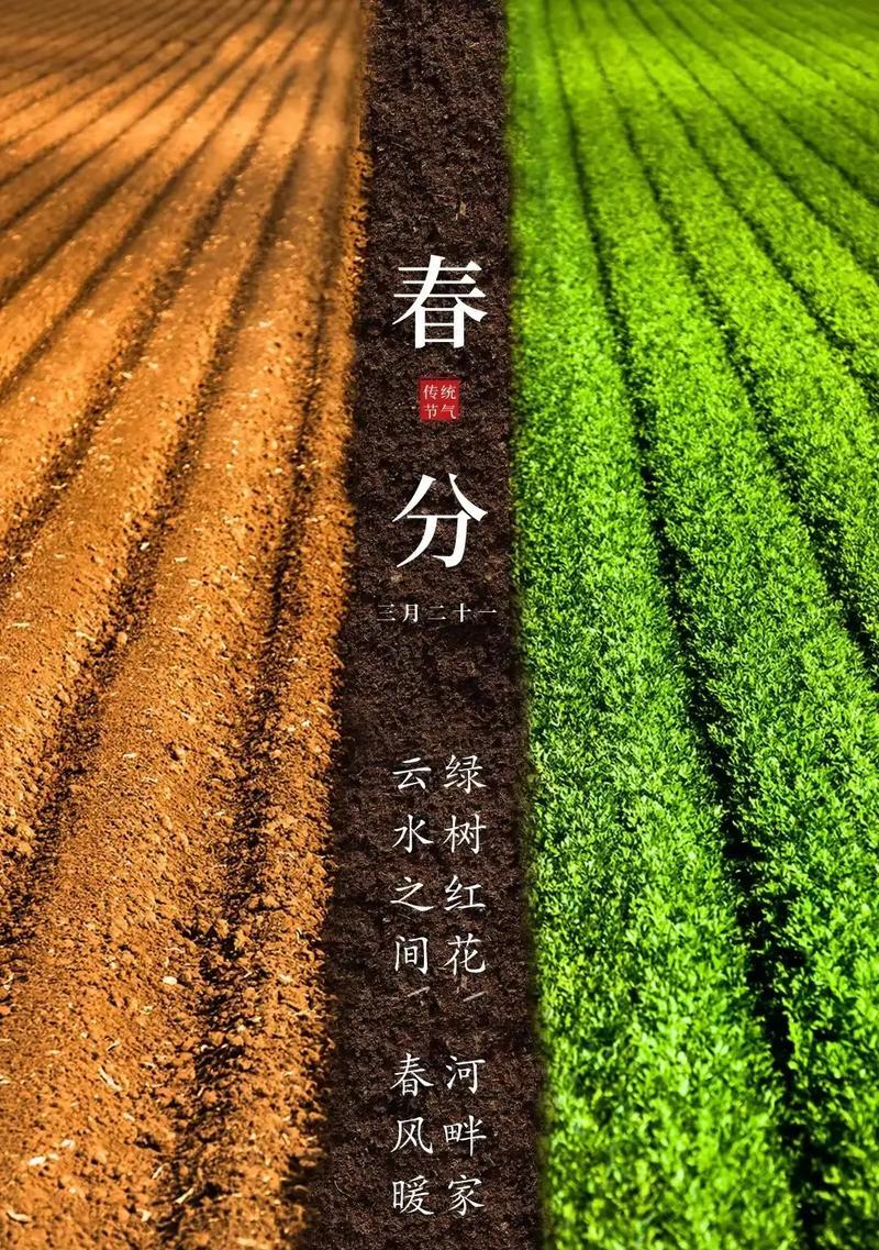 春分时节的优美语录有哪些？（春分至，昼夜均，天地融和赋新篇）