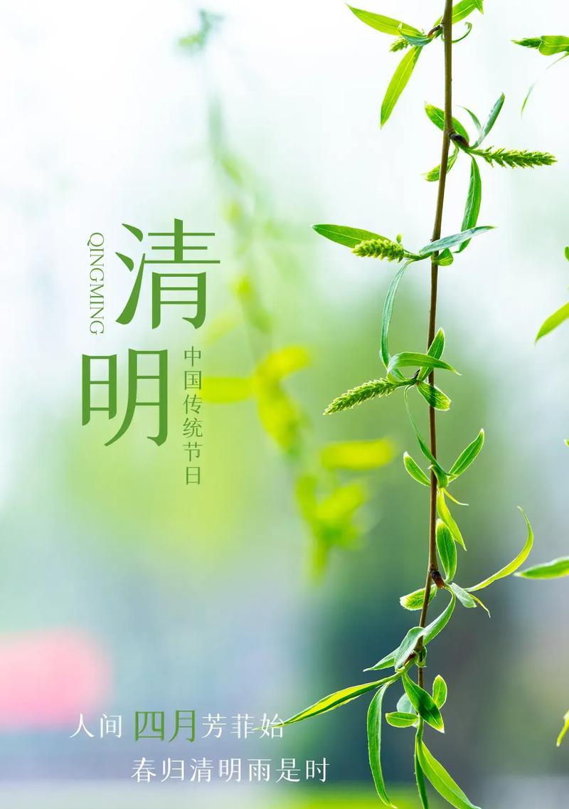 描写清明河的作文怎么写（《烟水清明：春意绵绵古韵长》）