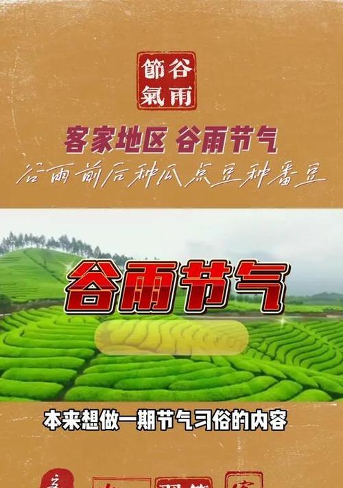 谷雨是种瓜点豆的节气吗（《谷雨种瓜豆，春意盎然中》）