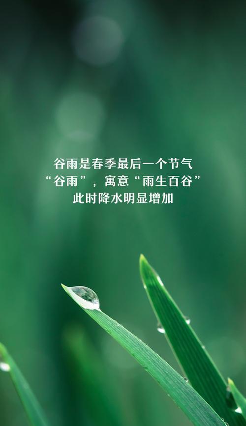 有关今日谷雨的风景句子的句子怎么写（《谷雨时分：润泽大地的诗意篇章》）