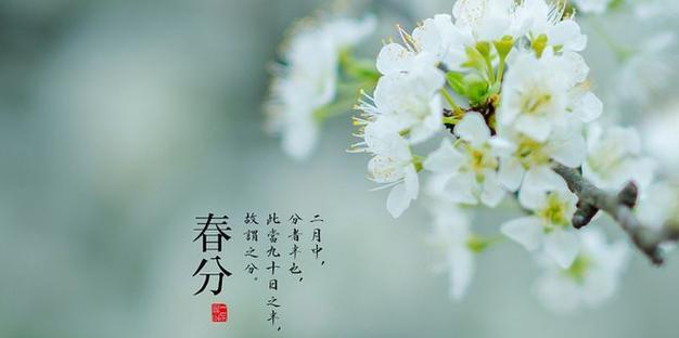 清明春分谷雨立春芒种排序（《四时佳节：清明春分谷雨之咏》）