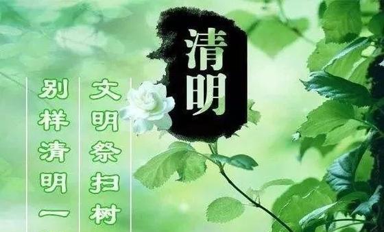 清明云扫墓如何表达哀思？（《云祭之怀，清明情深》）