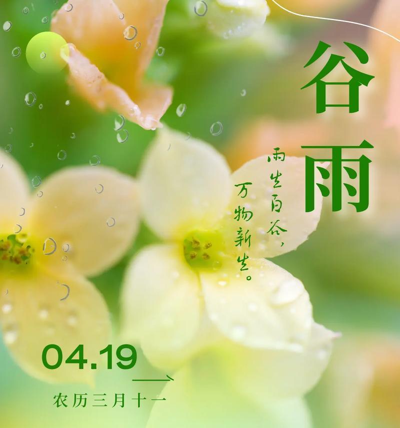 谷雨时节的特点（谷雨润物细无声——春归夏至之际的诗意描绘）