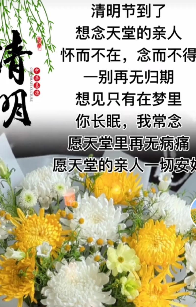 清明节思念亲人如何表达？（《青草碧连天，清明思故人》）