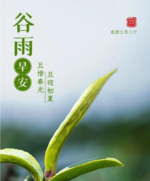 景德镇谷雨语录好句有哪些？（《景德镇谷雨之语：瓷韵千年》）