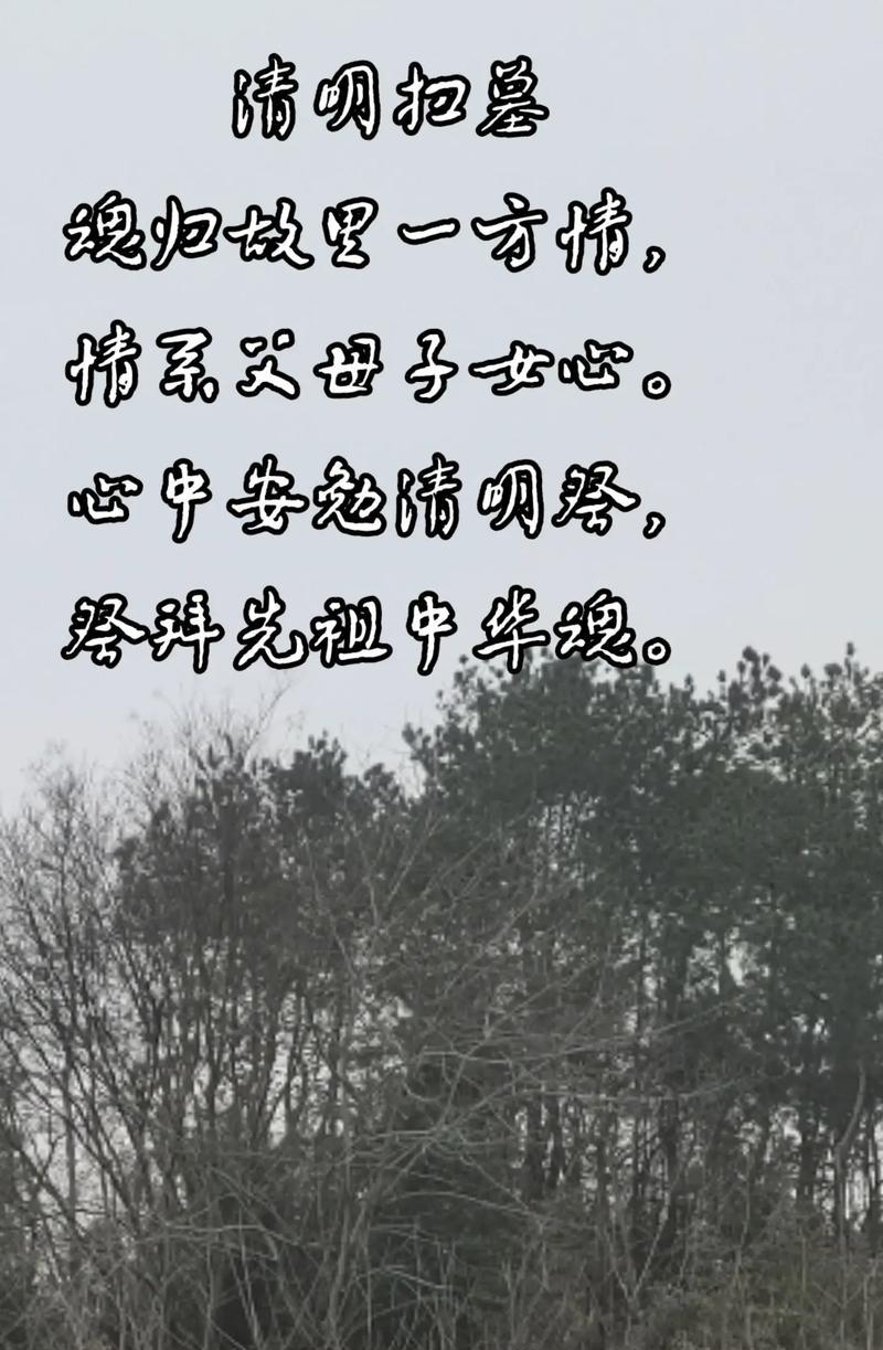 家国清明是什么意思（《春祭·清明怀古情》）