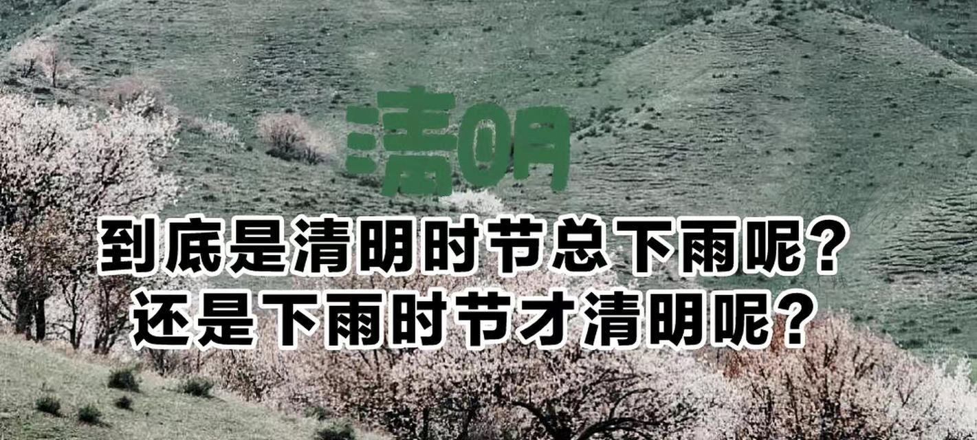 清明节雨天如何写好句子？（《清明雨思》）