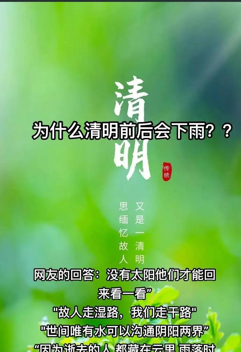 清明节雨天如何写好句子？（《清明雨思》）
