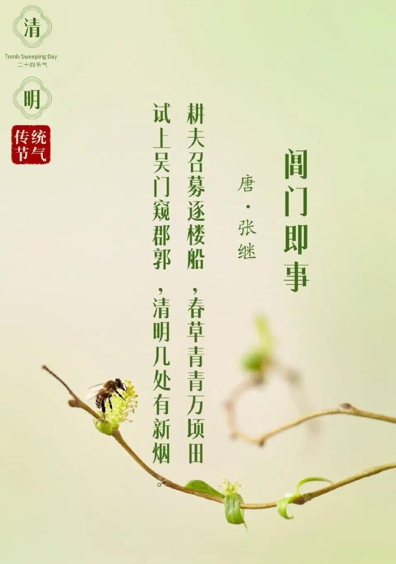 有关全国清明节美景句子的句子怎么写（《春回大地，翠绿清明》）