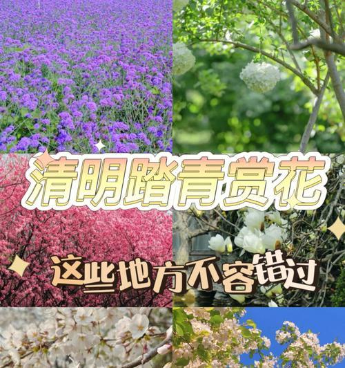 北京郊区自驾赏花路线（《春归何处？清明京郊自驾赏花行》）
