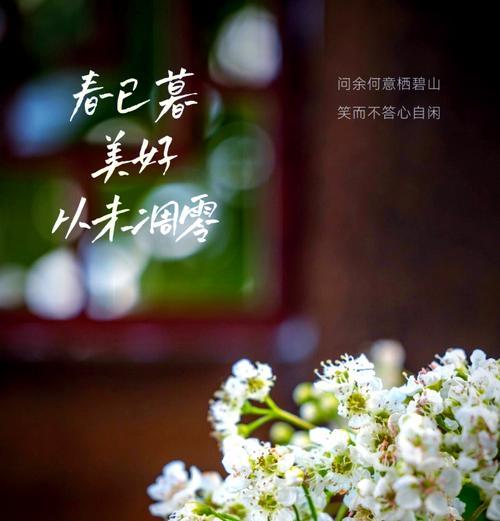 有关谷雨时的迎春花语录的句子简短（《谷雨时节：迎春花开，春意盎然》）