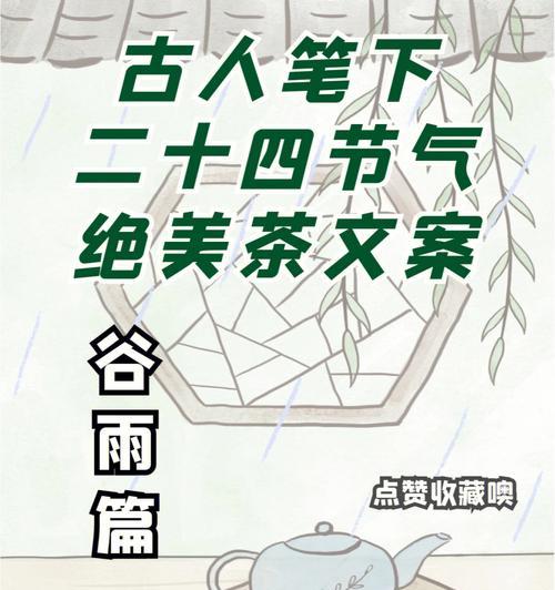 茶思谷雨语录好句有哪些？（《茶思谷雨：细品传统文化之韵》）