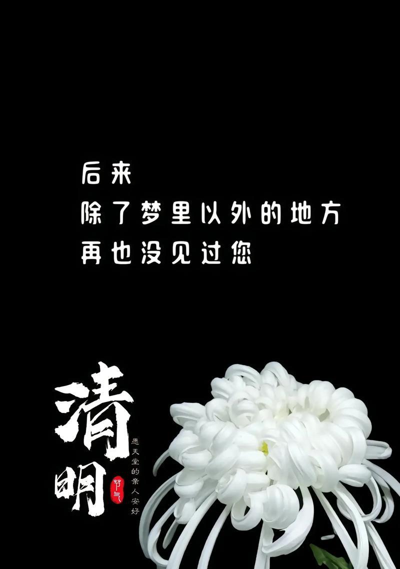 疫情期间怎么过新年（《春祭幽思：清明时节雨纷纷》）