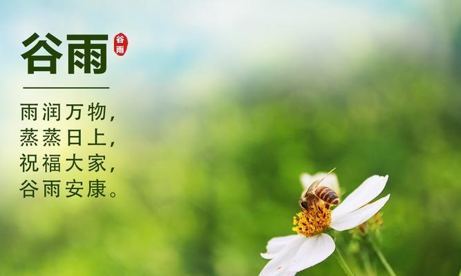 有关说说谷雨真的美怎么写句子的短句（细雨润物润心田，谷雨之美，如诗如画）