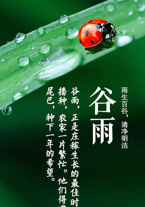 谷雨新诗的句子好句有哪些？（《谷雨新诗，润物细无声》）