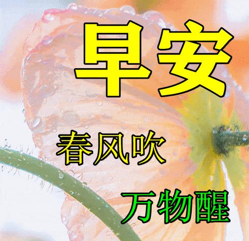 春分祝福语怎么写？（《春分之韵：节气下的诗意生活》）